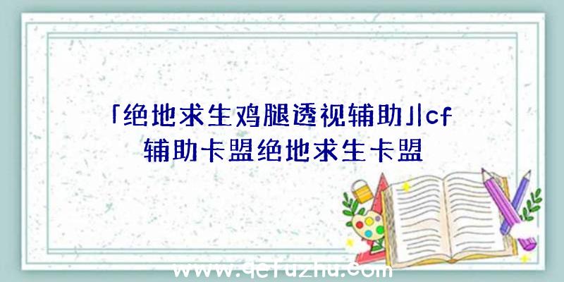 「绝地求生鸡腿透视辅助」|cf辅助卡盟绝地求生卡盟